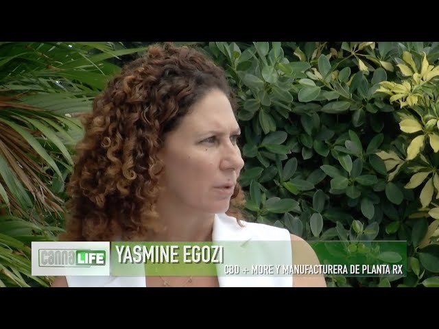 DESPENALIZACION DE LA MARIHUANA  ¿BUENA O MALA?